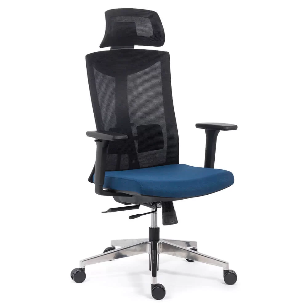 scaun-ergonomic-multifunctional-SYYT-9501-albastru1-1000×1000.jpg