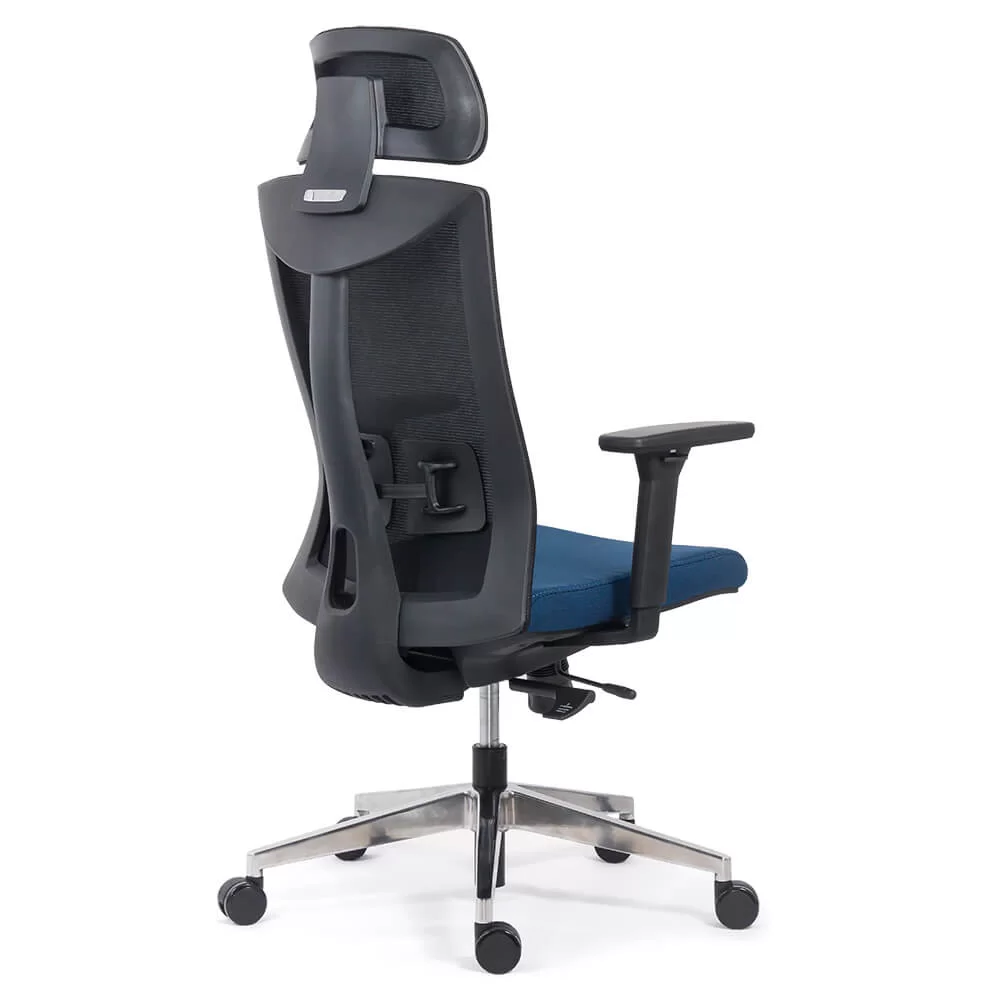 scaun-ergonomic-multifunctional-SYYT-9501-albastru3-1000×1000.jpg