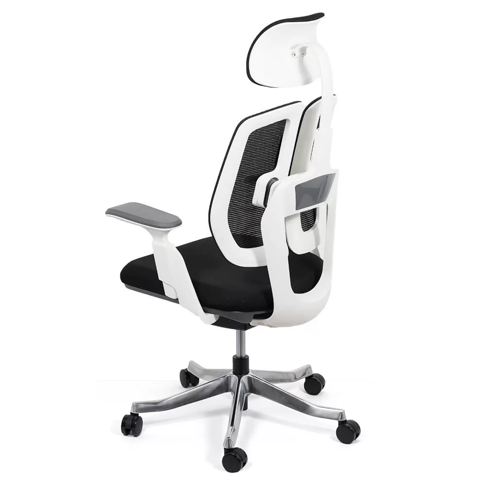 scaun-ergonomic-multifunctional-SYYT-9505-negru4-1000×1000.jpg